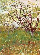 Vincent Van Gogh Cherry Tree painting